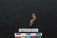 獸骨藏品圖，第1張