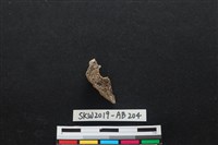 獸骨藏品圖，第2張