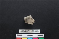 獸骨藏品圖，第1張