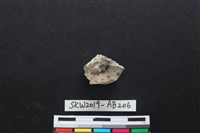 獸骨藏品圖，第2張