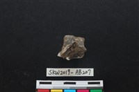 獸骨藏品圖，第2張