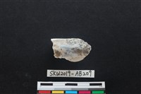 獸骨藏品圖，第1張