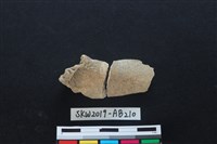 獸骨藏品圖，第2張