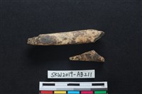 獸骨藏品圖，第2張