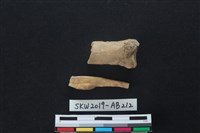 獸骨藏品圖，第1張