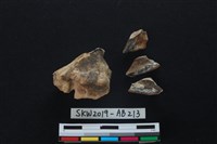 獸骨藏品圖，第2張