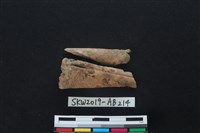 獸骨藏品圖，第1張