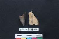 獸骨藏品圖，第2張