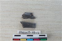 獸骨藏品圖，第1張