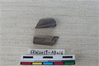 獸骨藏品圖，第2張