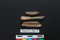 獸骨藏品圖，第2張