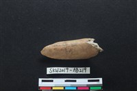 獸骨藏品圖，第1張