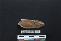 獸骨藏品圖，第2張