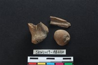 獸骨藏品圖，第2張