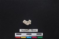 獸骨藏品圖，第2張