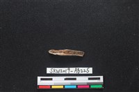 獸骨藏品圖，第1張