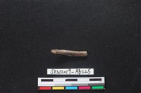 獸骨藏品圖，第2張