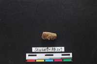 獸骨藏品圖，第1張