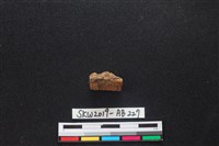 獸骨藏品圖，第2張