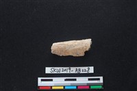 獸骨藏品圖，第1張