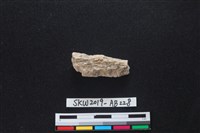 獸骨藏品圖，第2張