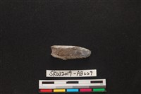 獸骨藏品圖，第2張