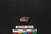 獸骨藏品圖，第2張