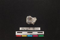 獸骨藏品圖，第1張