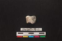 獸骨藏品圖，第2張