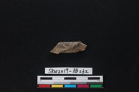 獸骨藏品圖，第1張