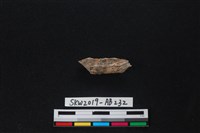 獸骨藏品圖，第2張