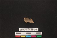 獸骨藏品圖，第1張