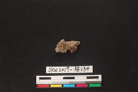 獸骨藏品圖，第2張