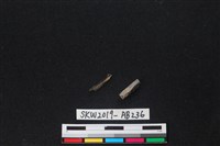 獸骨藏品圖，第1張