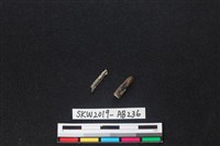 獸骨藏品圖，第2張