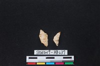 獸骨藏品圖，第1張