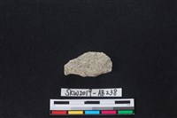 獸骨藏品圖，第1張