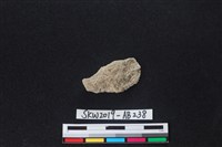 獸骨藏品圖，第2張