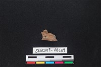 獸骨藏品圖，第1張