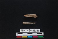 獸骨藏品圖，第1張