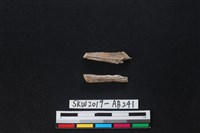 獸骨藏品圖，第2張