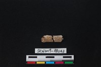 獸骨藏品圖，第2張