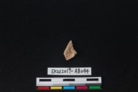 獸骨藏品圖，第1張