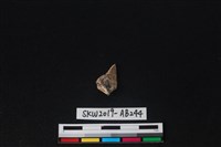 獸骨藏品圖，第2張