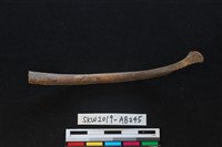 獸骨藏品圖，第1張