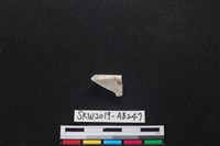 獸骨藏品圖，第1張