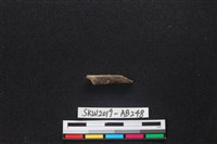 獸骨藏品圖，第1張