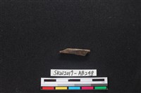 獸骨藏品圖，第2張