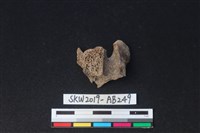 獸骨藏品圖，第1張