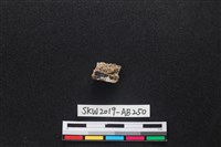 獸骨藏品圖，第1張